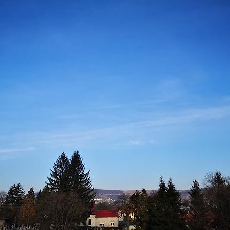 Villa-Hotel Escala Kolozsvár Kültér fotó