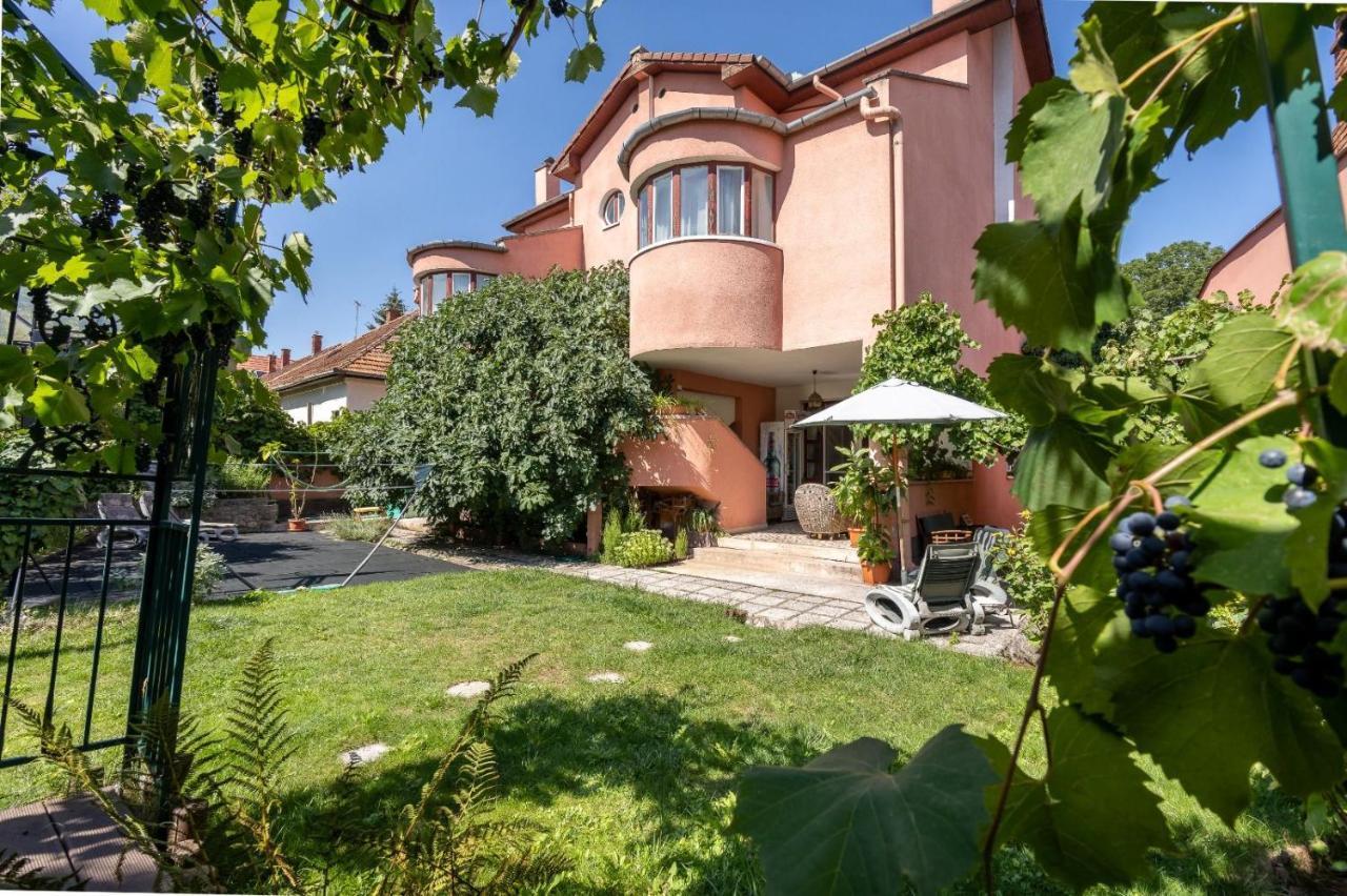 Villa-Hotel Escala Kolozsvár Kültér fotó